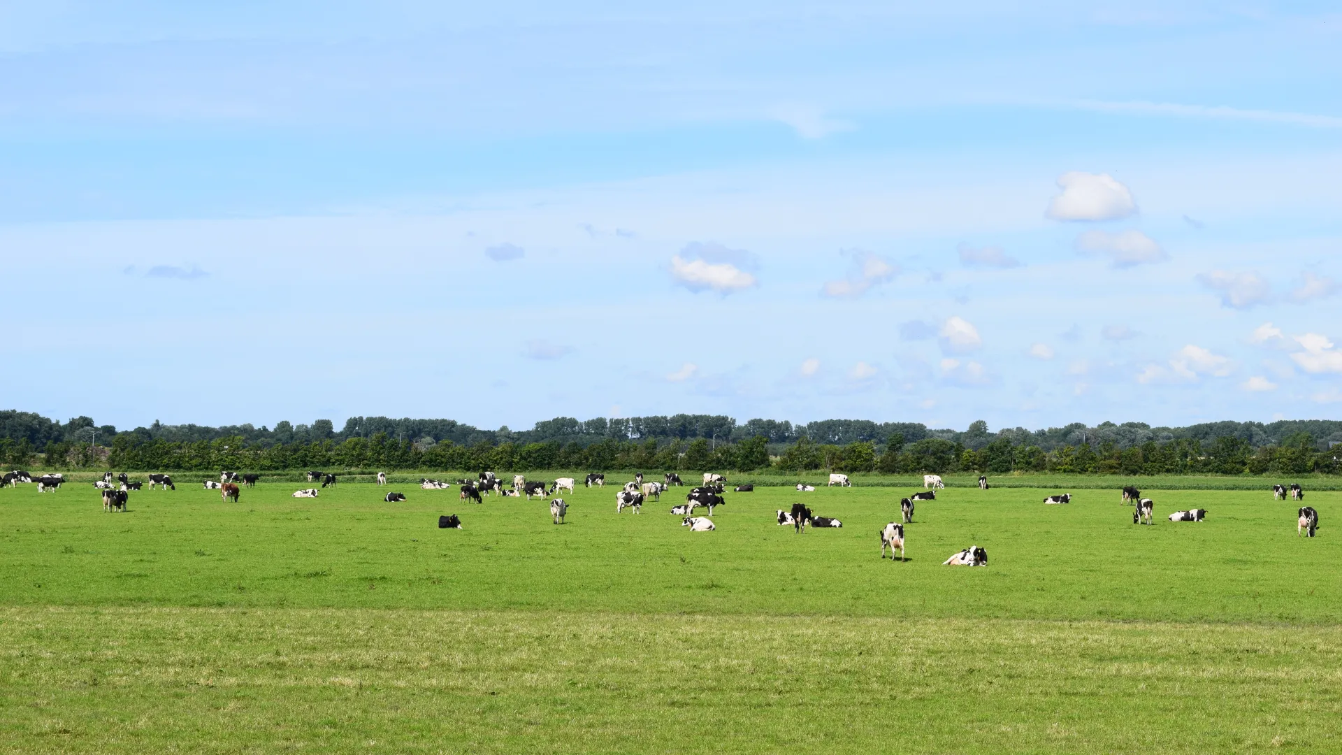 Rubrik_Landwirtschaft_c._M._Bossmann.JPG